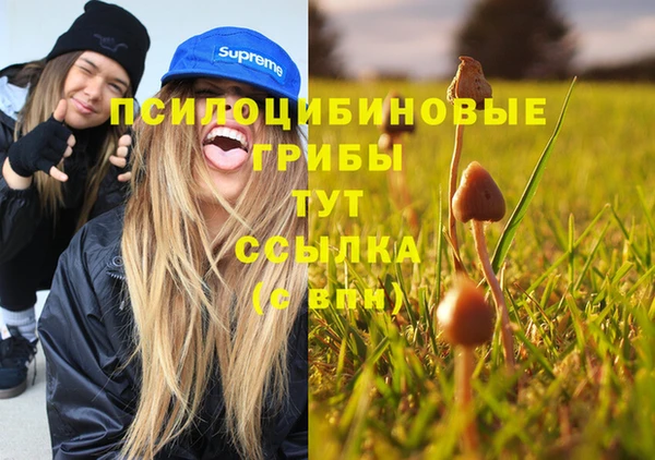 синтетический гашиш Абинск