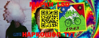 гидра Обь