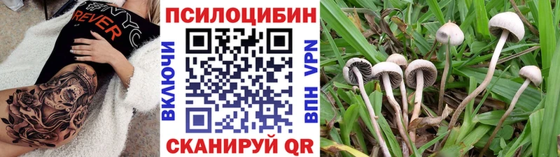 Псилоцибиновые грибы Magic Shrooms  Фрязино 